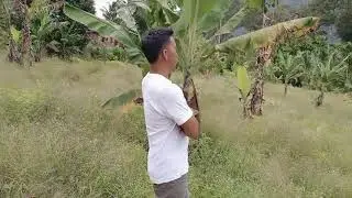 LAGU ALAS TERBARU HOYE MUDALI CIPT : AZON LIPA