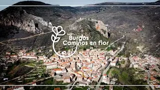 1 Almendros de Poza de la Sal