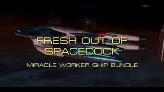 Fresh out of Spacedock - Miracle Worker Ship Bundle