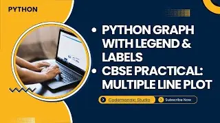 Multiple Line Plot in Python | Legend, Title & Labels | Matplotlib | CBSE IP / CS #coding #python