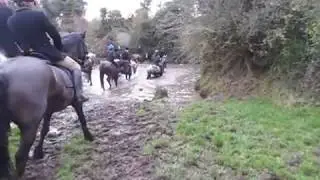 Suir Vale Harriers Hunt Templemore Nov 2013