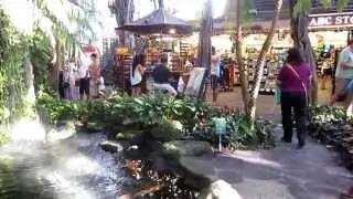 #16 США Гавайи Гонолулу Отель Sheraton Princess Kaiulani International Market Place
