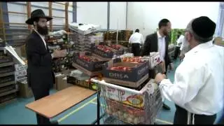 Irgun Y.R.A- about the organization 2014