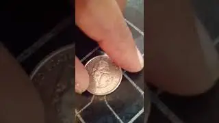 USA DOLLAR #quater #dollar #shortsvideo #viralvideo #coincollection #coinhobby #usa