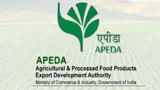 What is APEDA ,it's function composition everything Economics for UPSC ssc all others exam short .