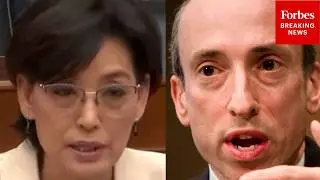 'He Single-Handedly Setback The Crypto Industry': Young Kim Trashes Gary Gensler Over Crypto Rules