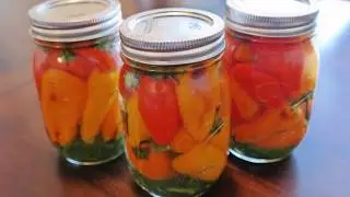 Marinated Mini Bell Peppers Recipe - Рецепт маринованного мини-перца