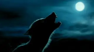 Werewolves in Harry Potter