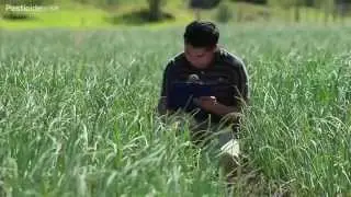 Pesticidewise: knapsack spraying onions