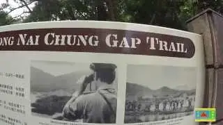 【Hong Kong Hiking】Wong Nai Chung Gap Trail