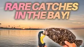 Flounder, Sea Trout & Rare Finds You Won't Believe!