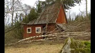Stormen Gudrun 2005
