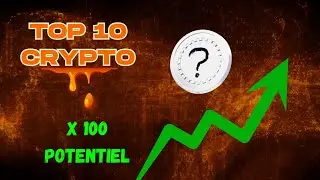 Cette crypto pourrait bient&ocirc;t entrer dans le TOP 10 🚀 (Potentiel x100)