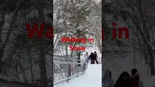 Walking in Snow | Would slowing down scare you?#canadaontheroad #toronto #travel #winterhiking