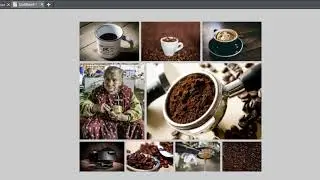 68 Foto Rasters in XARA Designer Pro