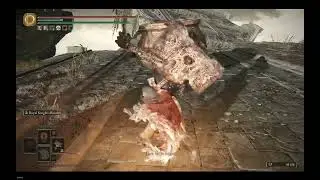 Victory was impossible [Elden Ring, story spoiler]