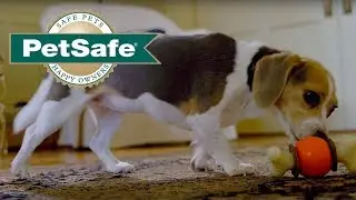 3 Dog Toys in 1 &ndash; Treat Holding Bouncy Bone&trade;