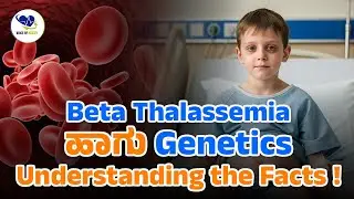 Beta Thalassemia and Genetics Understanding the Facts | Padmashree Diagnostics | Voice Of Health