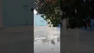 Heavy Rain on QUETTA + snowfalling