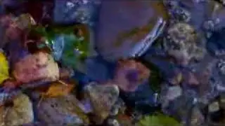 Mindflo Music Videos for a Restful Mind Meditation Show 19
