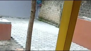Tutorial paving block manual lengkap dengan pemasangan,tutorial bangunan, tutorial tukang,