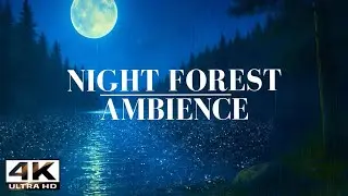 Moonlit Forest Lake at Night &ndash; Gentle Rain, Wind & Owls | Relaxing Nature Ambience