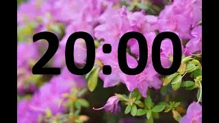 SPRING countdown TIMER. 20 MINUTES.