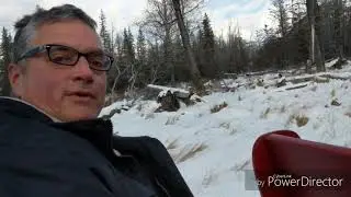 BANFF ALBERTA - Sleigh Ride - Warner Stables