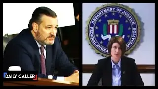 Ted Cruz Asks FBI Executive About Ray Epps And Federal Informants On January 6th