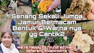 Aku dan Ranich ketemu jamur yg macem2 / Me & Ranich found so many deferent mushrooms 🍄
