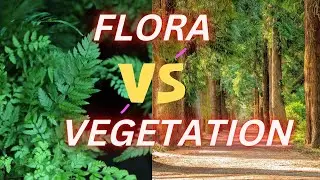 Flora Vs Vegetation || Difference Between Flora and Vegetation #GeographicalSight #FloraVsVegetation