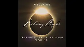 Transmissions of The Divine Feminine - Channelled activation's from Nov.11 Portal