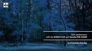 Alexandra Rylina, SOMA FLUX performance
