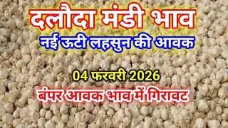 दलौदा मंडी ऊटी लहसुन भाव 4फरवरी 2026