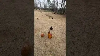 Руди такой крутой 😂