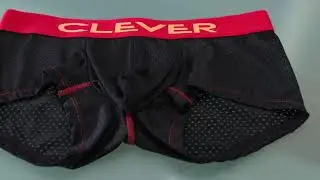 Requirement latin boxer - REF. 042011