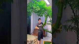 Mastering Bamboo: Giant Bonsai Tree #BambooBonsai #BonsaiArt #BambooCraft #ChineseArtisan #BonsaiTre