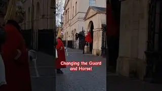 Changing the Guard and the Horse. #buckinghampalace #england #uk #london #beautiful #horseguards