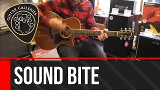 Taylor 524ce Electro Acoustic Guitar Mahogany Demo at Guitar Galleries