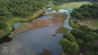 NIEBLA (ÁREAS RECREATIVAS) - HUELVA