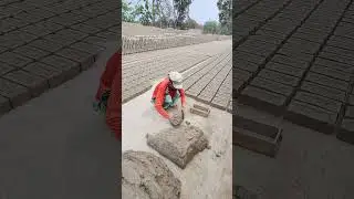 CLAYFIELD MAKING BRICKS  #brickklin #skills  #handmadebricks #potery #buildingmaterials