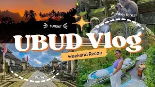 Amazing 7 Days in UBUD - MONKEY FOREST - TIS CAFE - DESA PANGLIPURAN - RICE TERRACES || Bali Vlog 🏝️