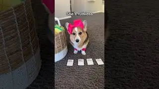 Playing games with a diva