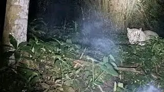 Live Misteri‼️DIMANA INI KITA TERDAMPAR