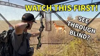 TIDEWE SEE THROUGH HUNTING BLIND (REVIEW AND SETUP)