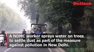 A NDMC worker sprays water on trees to settle dust in New Delhi