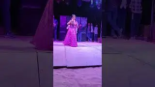 jija pan khilado#marwadi#new #trending #viral #song #2025 #wedding #dance #shorts #video #dj#love#yt