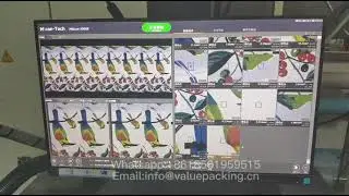 TLEN807 In-line auto print defects inspection system on rotogravure print press