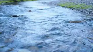 Soft River Sounds for Deep Sleep & Insomnia Relief | Nature ASMR No Music