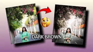 COLOUR GRADING PHOTO EDITING/DARK BROWN COLOR EDITING TUTORIAL PLEASE FULL WATCH